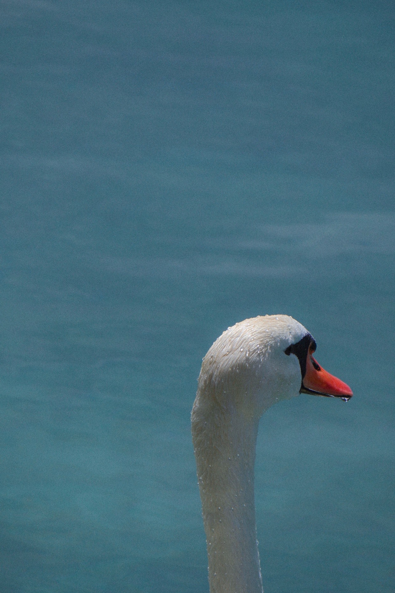 Photographies — visuel 2