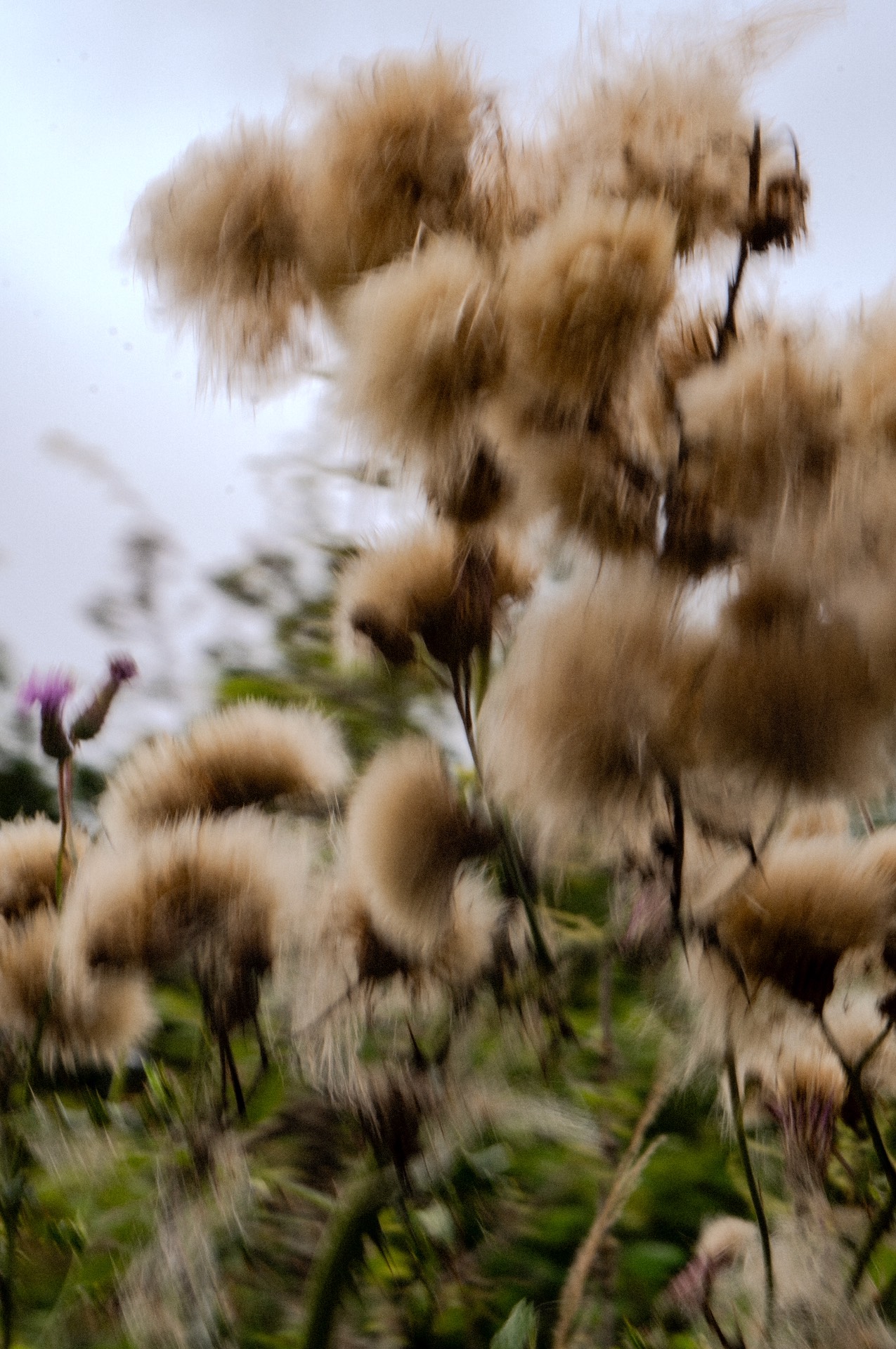 Photographies — visuel 3