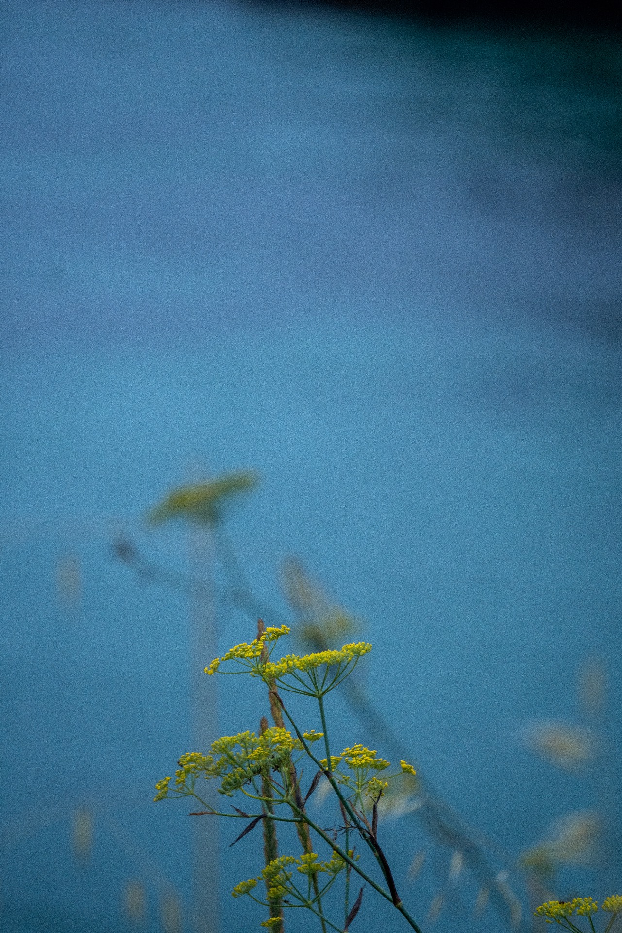 Photographies — visuel 11
