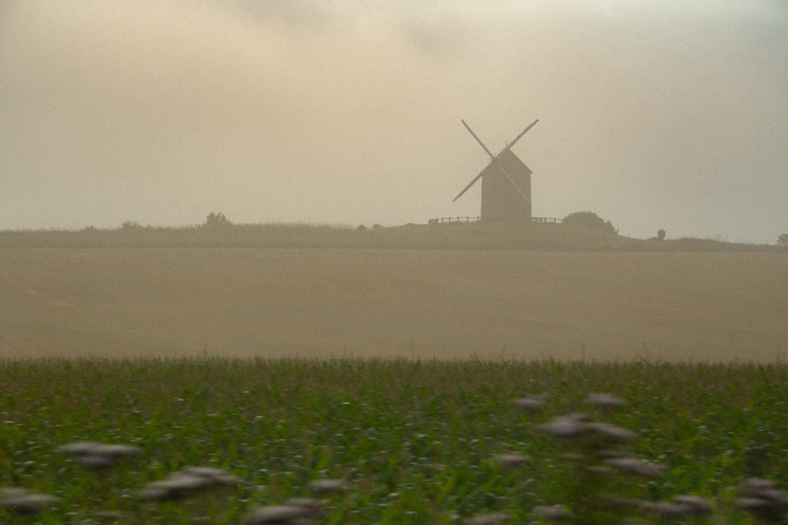 Photographies — visuel 16