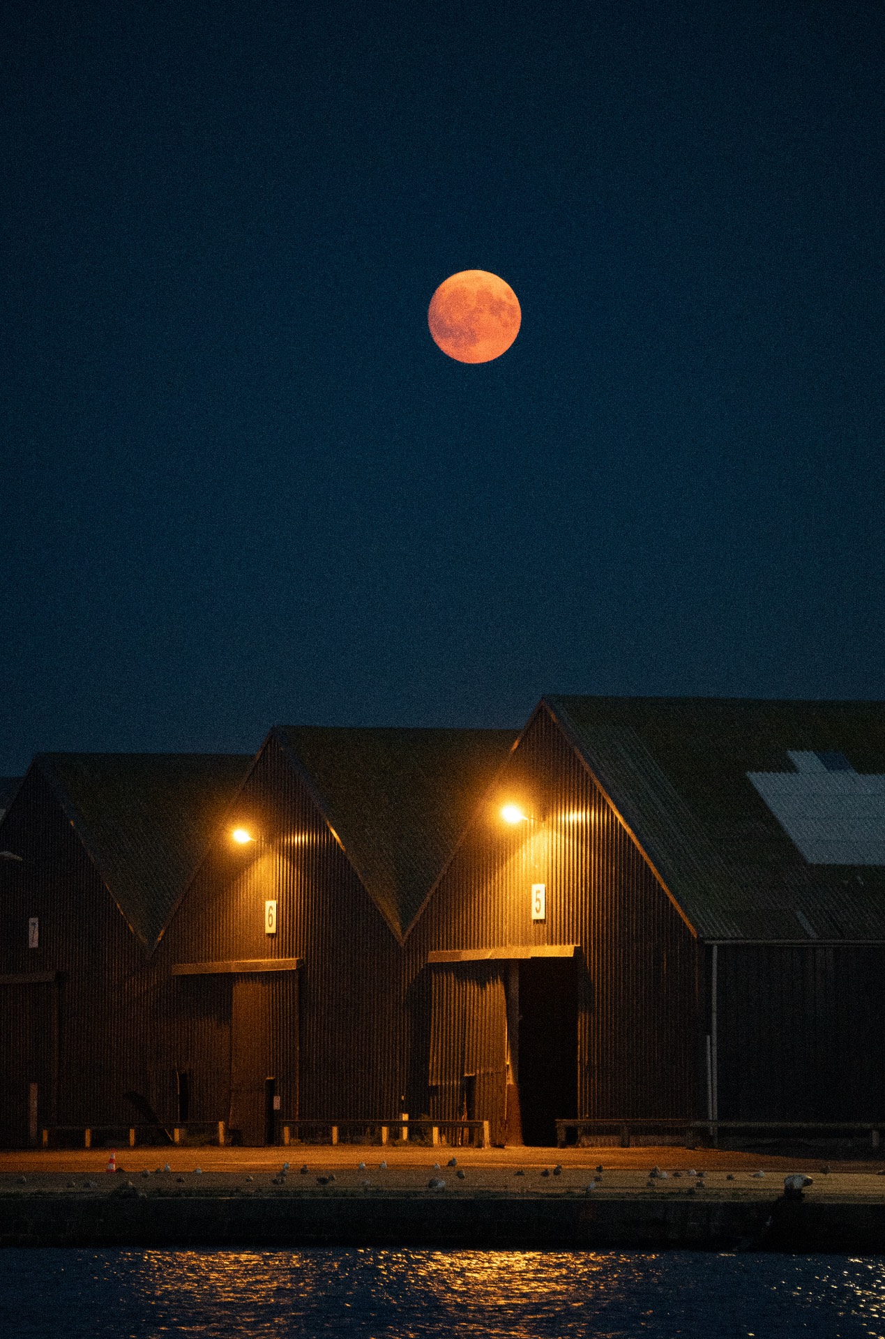 Photographies — visuel 29