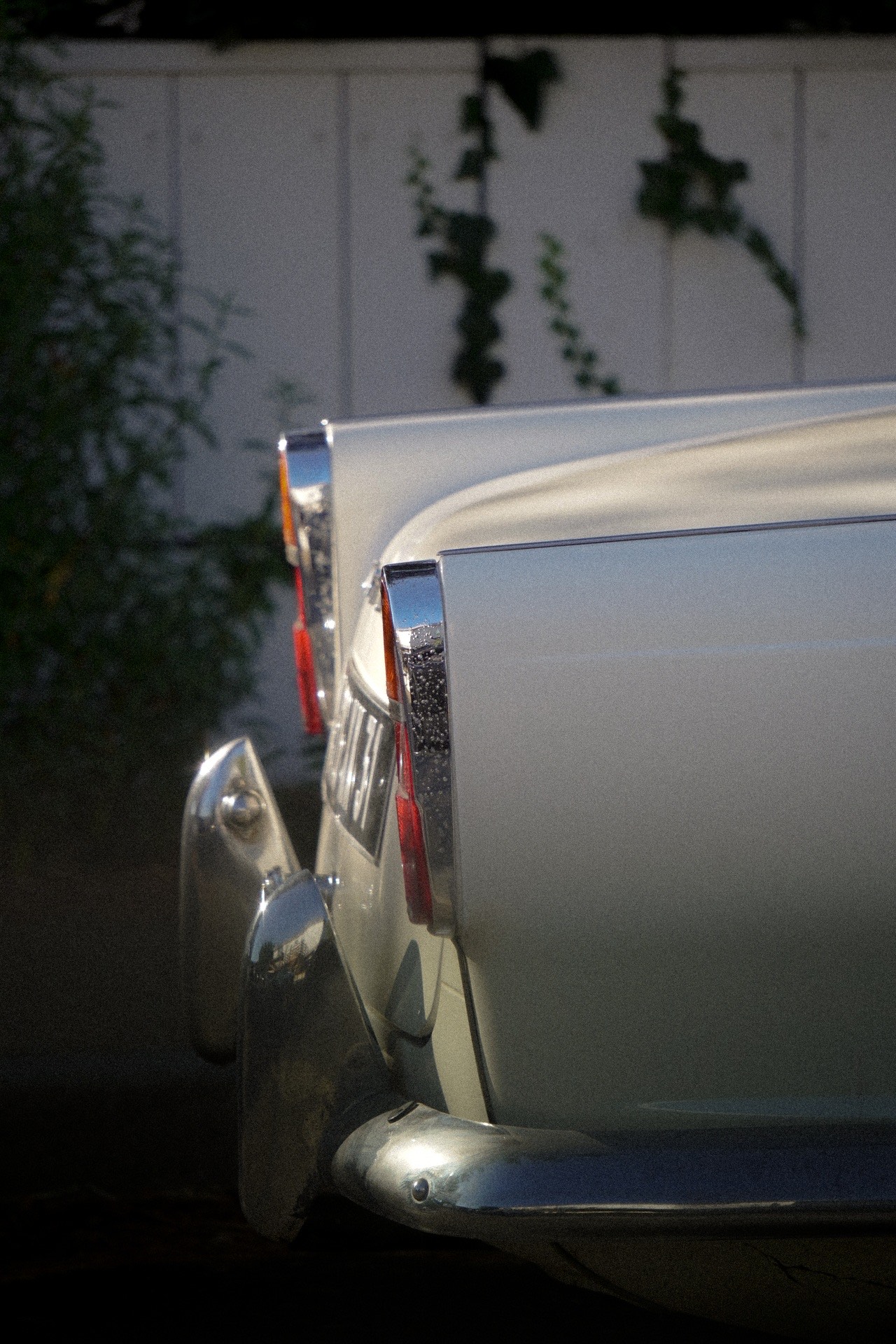 Photographies — visuel 32